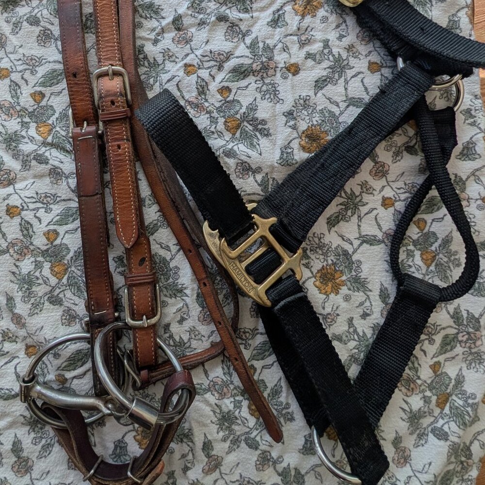 Western leather headstall, harness, loose ring copper inlay bit included